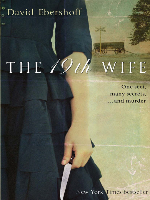 Title details for The 19th Wife by David Ebershoff - Wait list